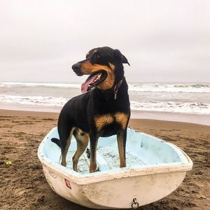 Meet your Posher, Tierney